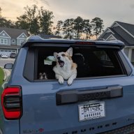 fur runner